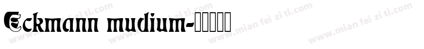 Eckmann mudium字体转换